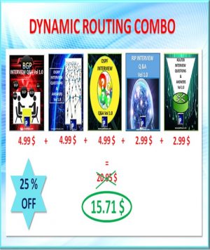 Dynamic Routing Combo
