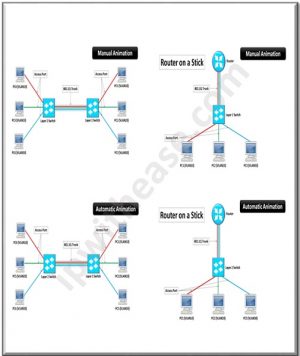 Layer 2 (VLAN and Trunk) - Animated Slides