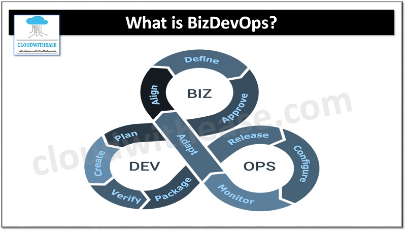 what is bizdevops